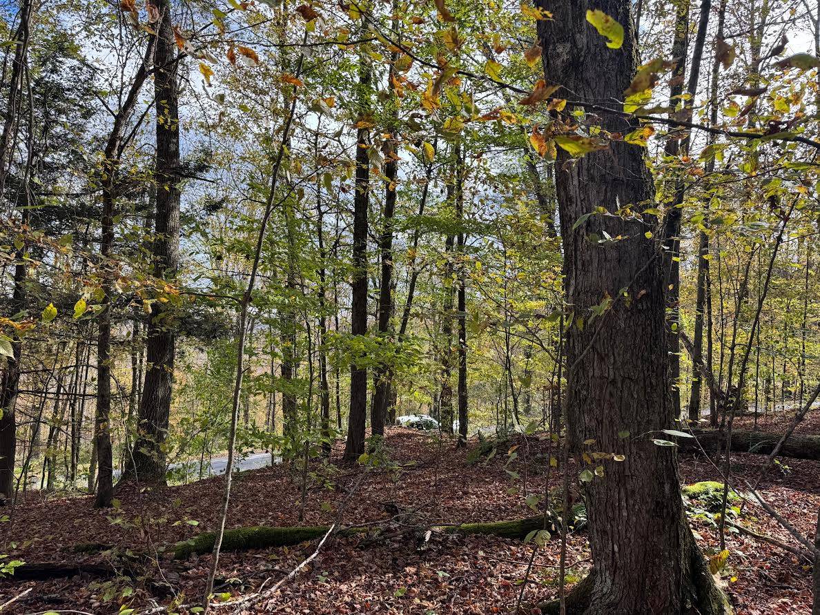 #8 photo, 491 Tamarac Rd, Oxford , NY 13830