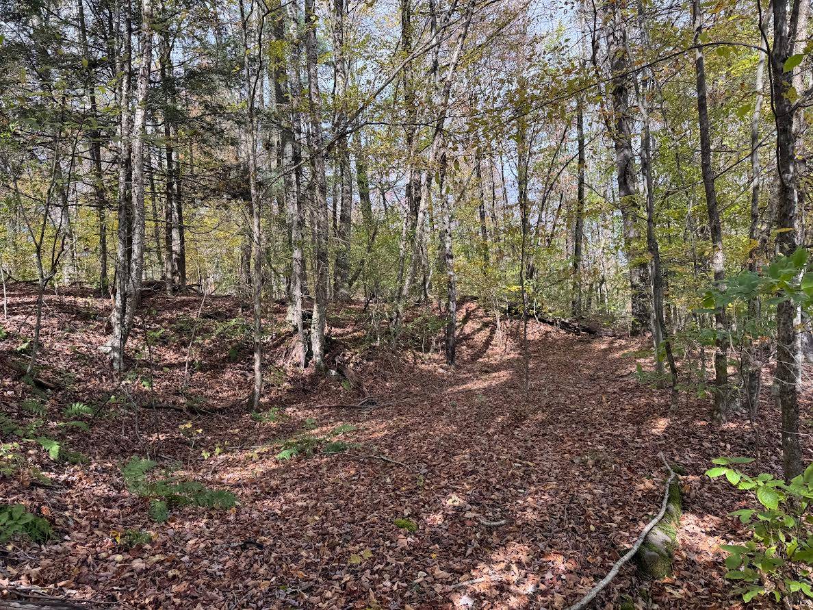 #9 photo, 491 Tamarac Rd, Oxford , NY 13830