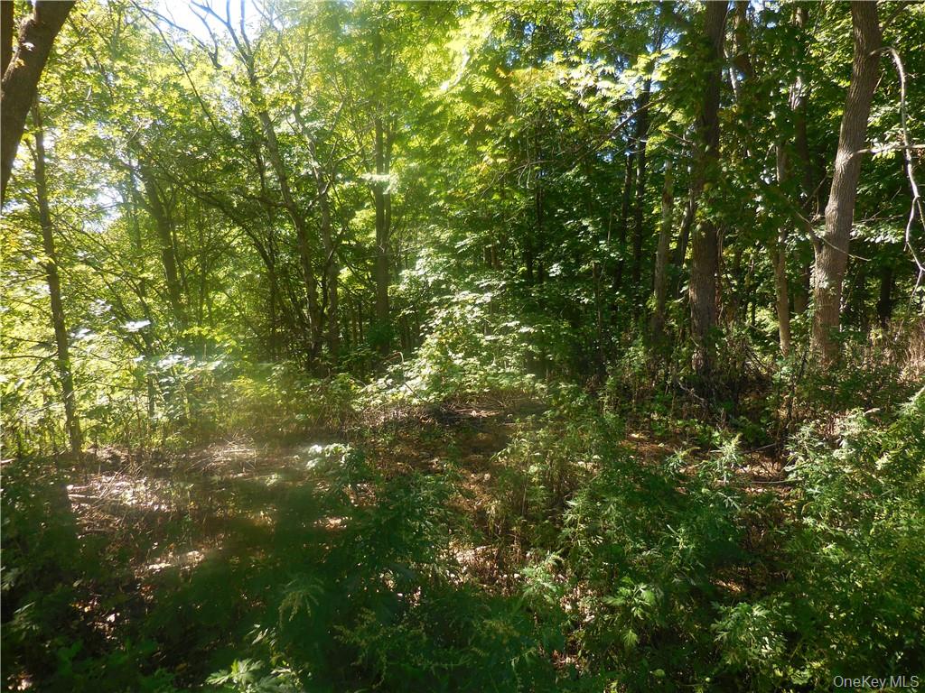 #8 photo, Silver Stream Road, New Windsor , NY 12553