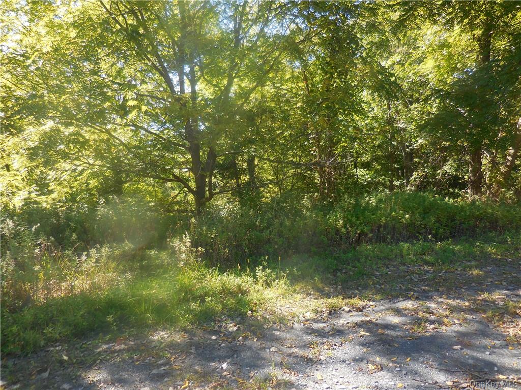 #9 photo, Silver Stream Road, New Windsor , NY 12553