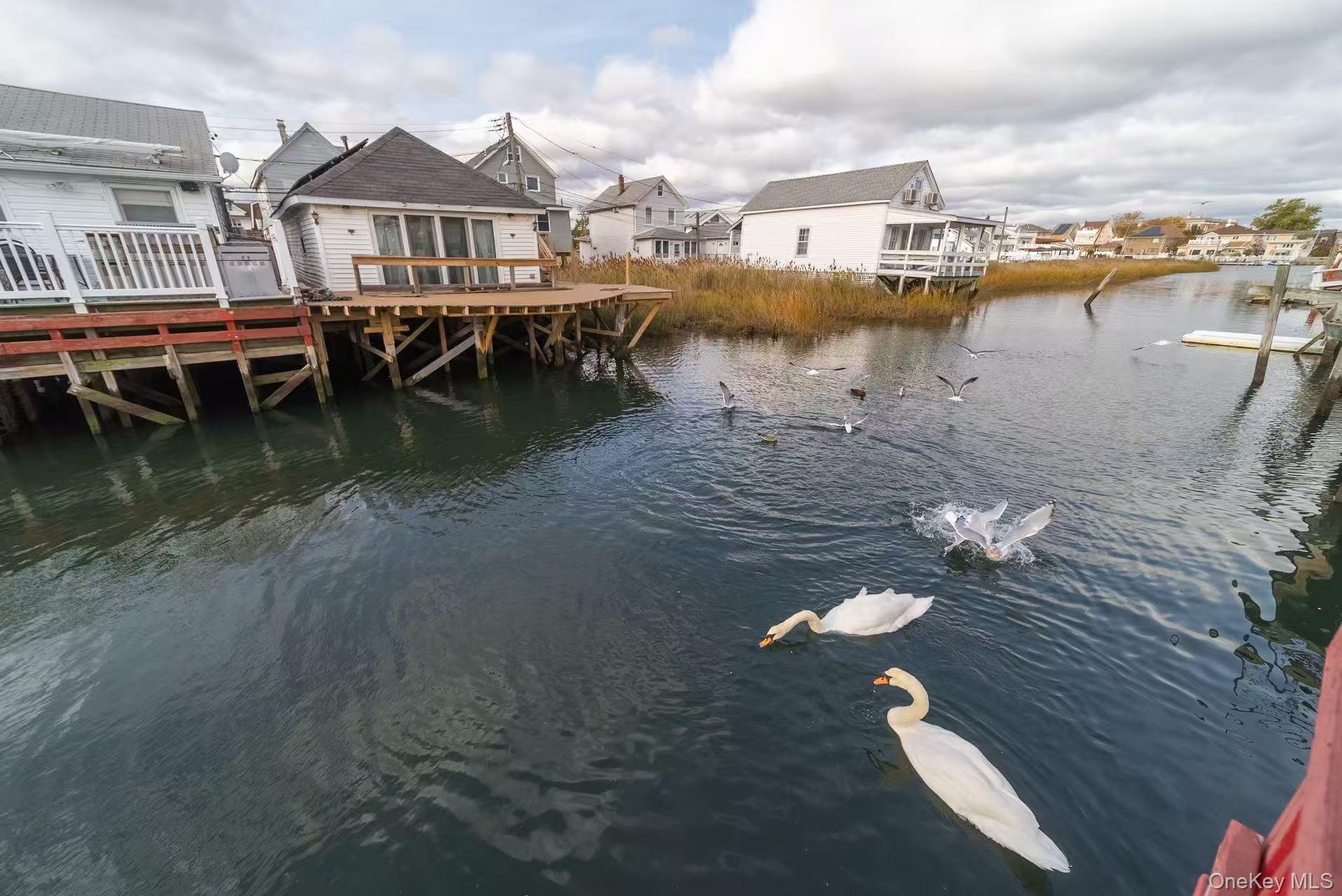 #9 photo, 10 Church street, クイーンズ区 Howard Beach , NY 11414