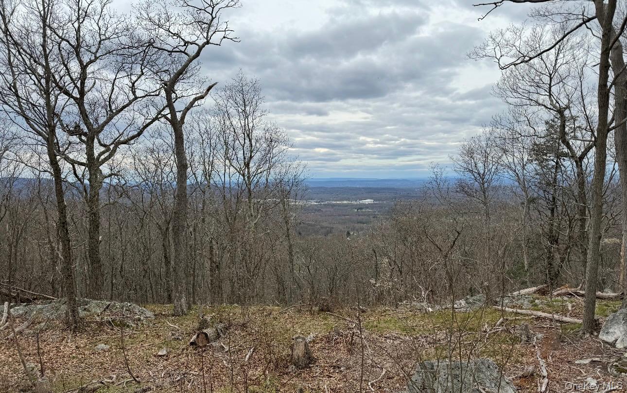 #1 photo, Woodmont Road, Hopewell Junction , NY 