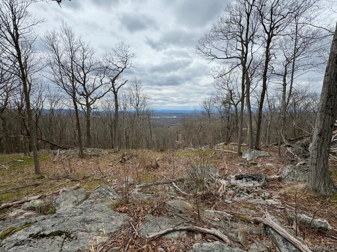 #2 photo, Woodmont Road, Hopewell Junction , NY 