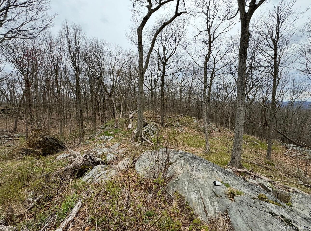 #4 photo, Woodmont Road, Hopewell Junction , NY 