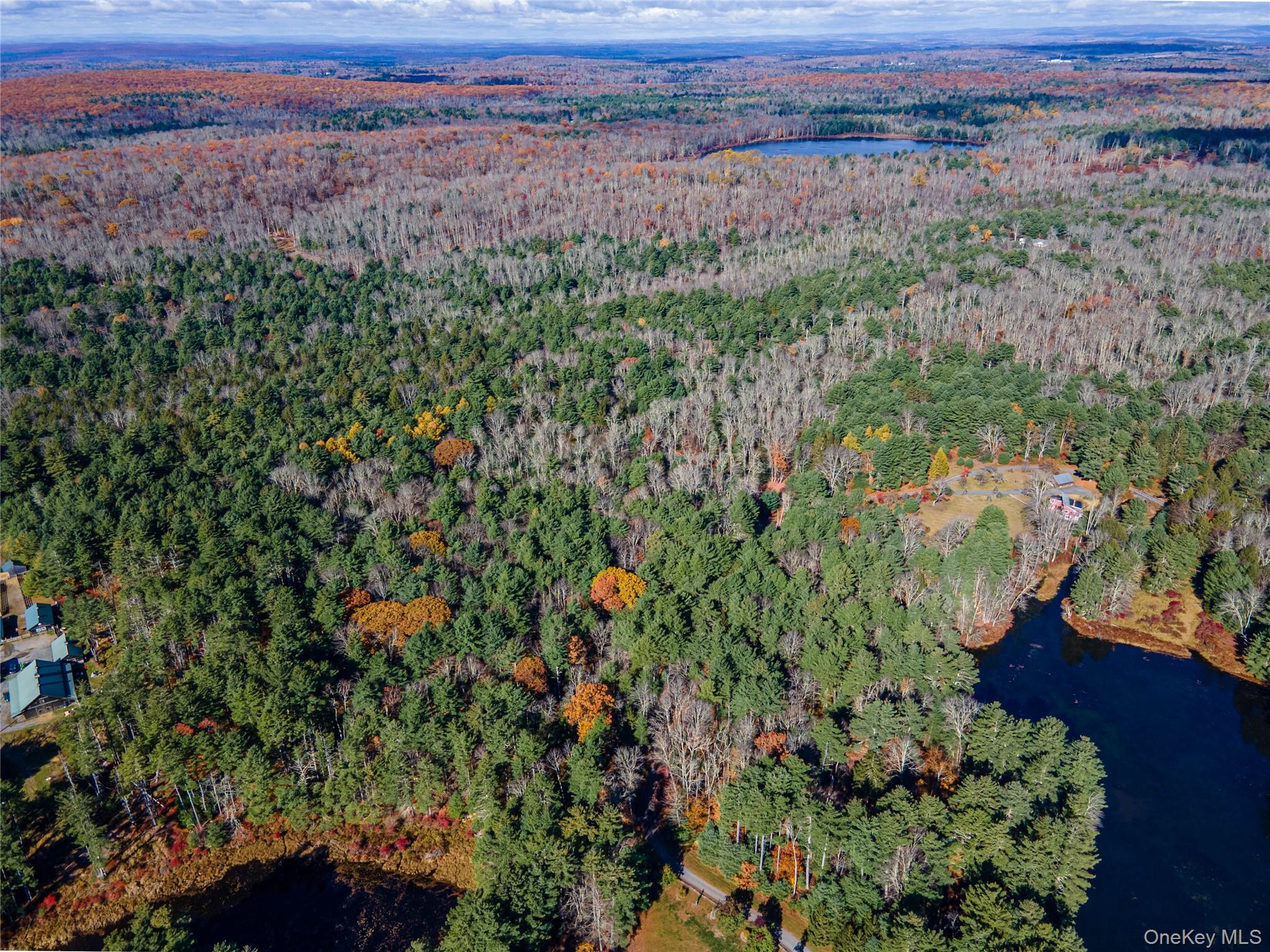 #1 photo, 1 Philwold Road, Forestburgh , NY 12777