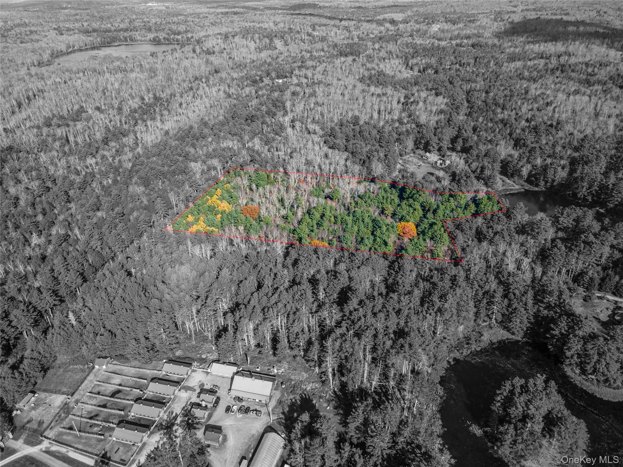 #10 photo, 1 Philwold Road, Forestburgh , NY 12777