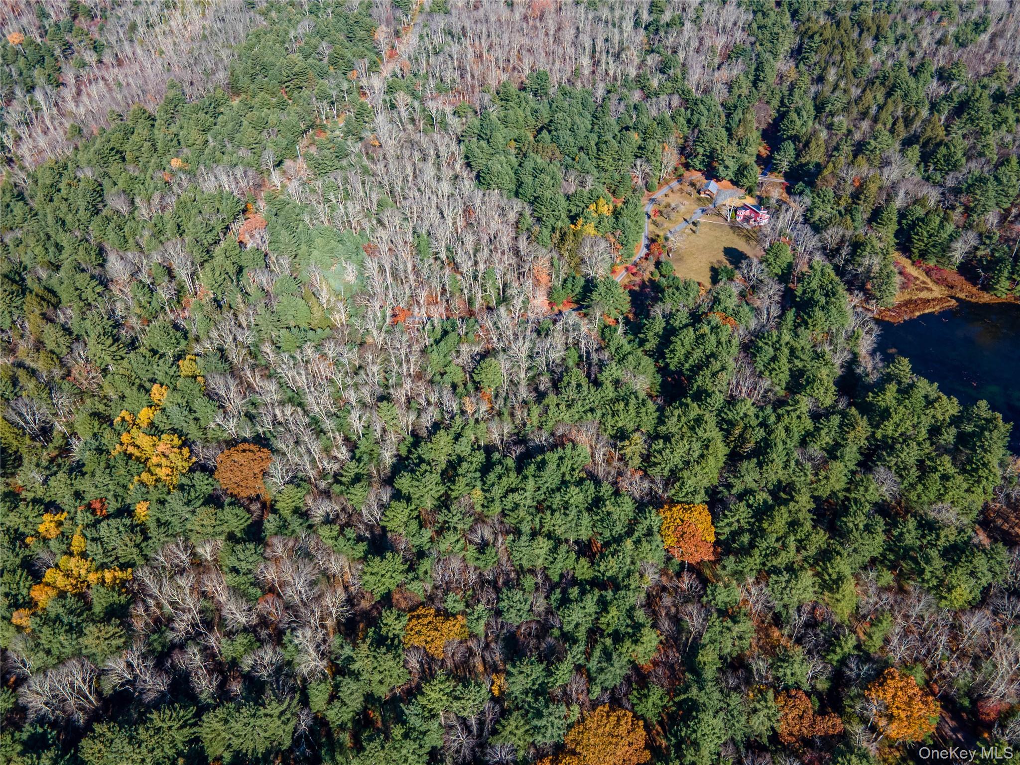 #17 photo, 1 Philwold Road, Forestburgh , NY 12777