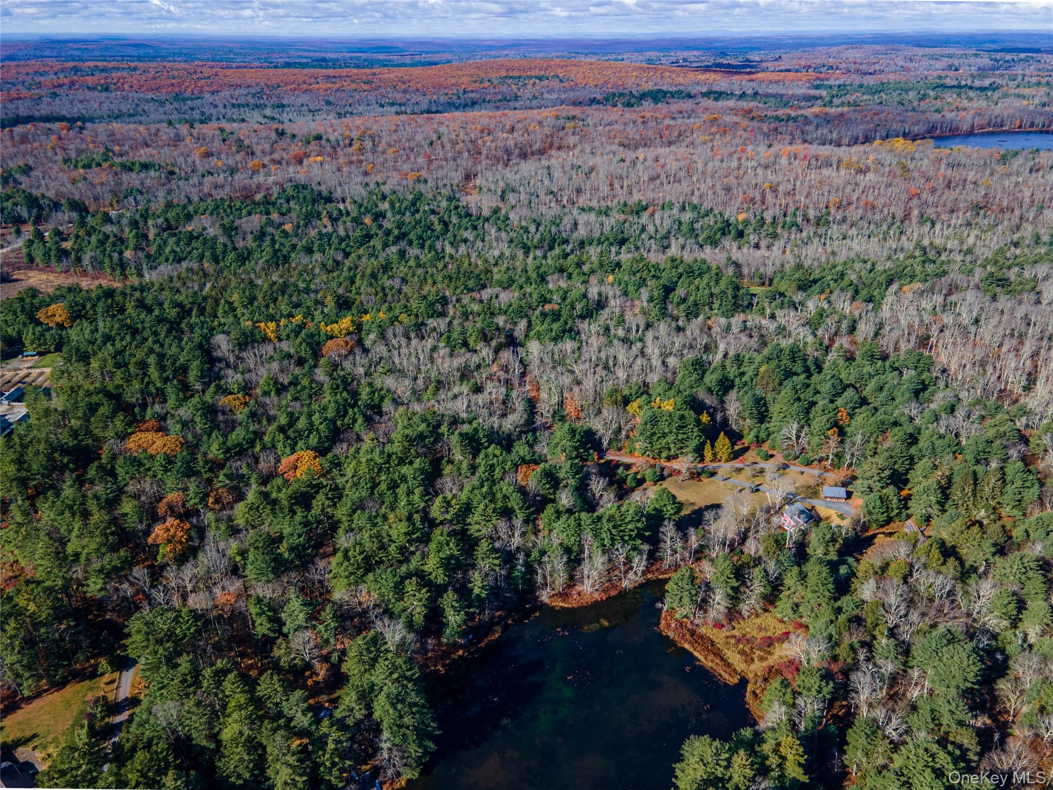 #2 photo, 1 Philwold Road, Forestburgh , NY 12777