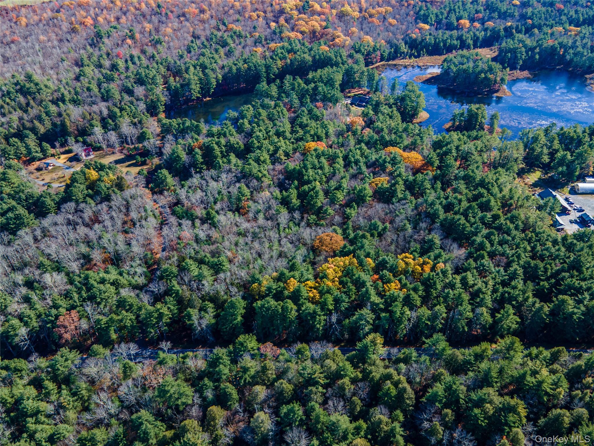 #8 photo, 1 Philwold Road, Forestburgh , NY 12777