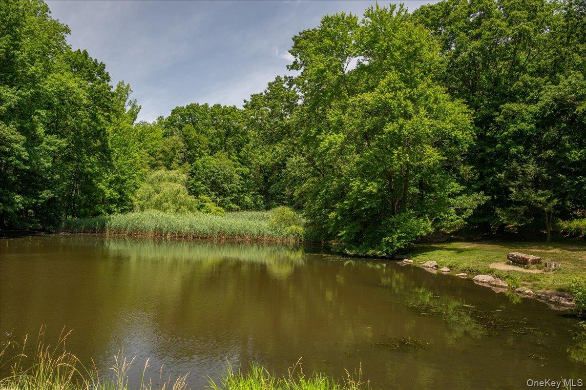 #14 photo, 579 Broadway, Hastings-on-Hudson , NY 10706