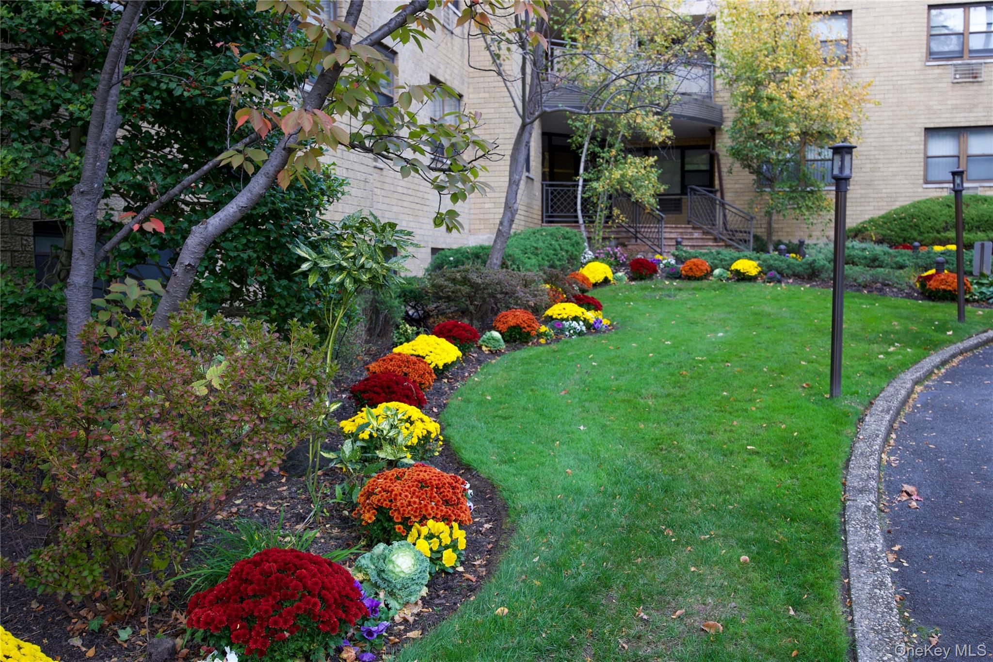 #1 photo, 5 Schenck, ナッソー郡 Great Neck , NY 11021