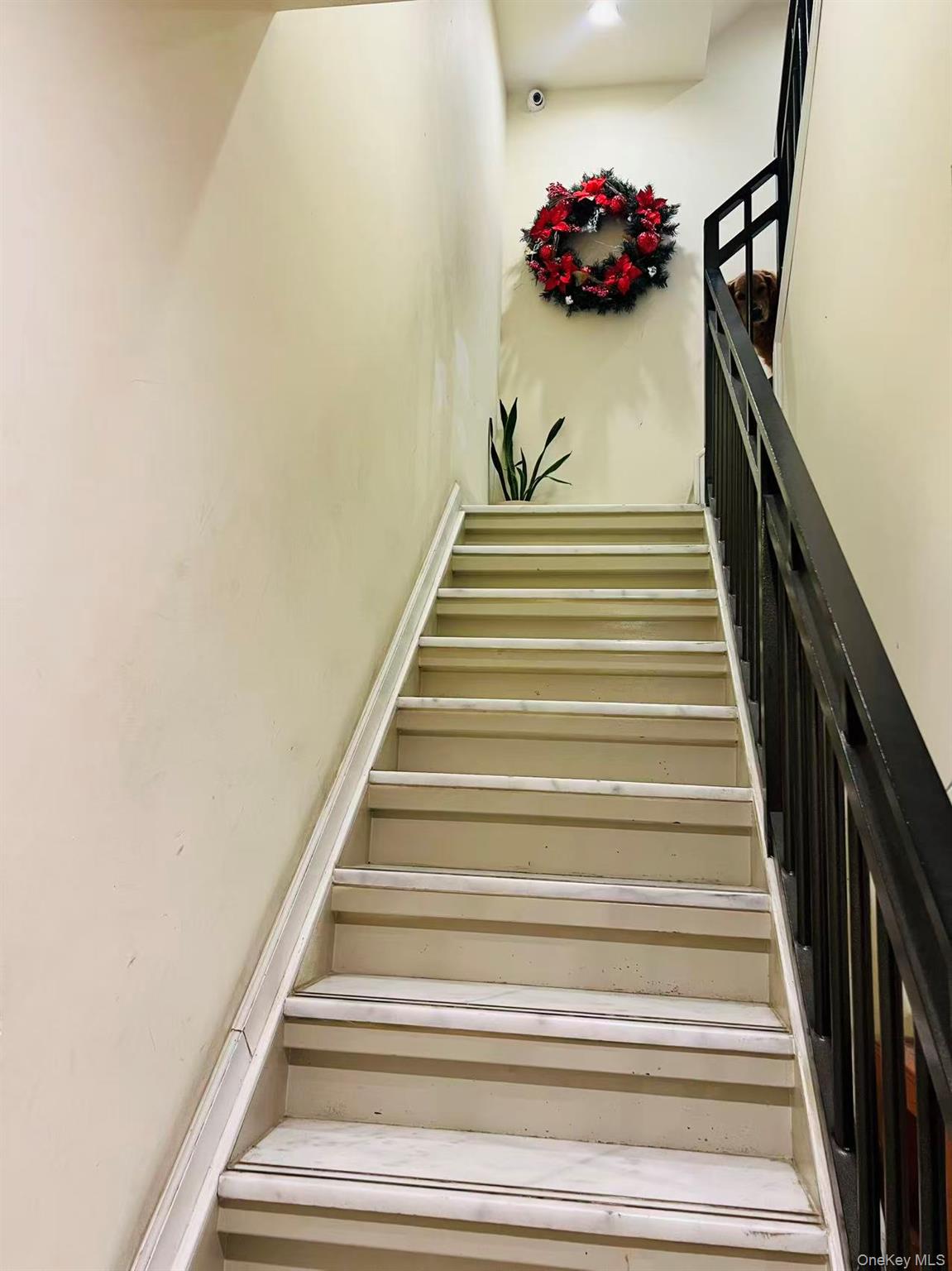 #14 photo, 62-54 Dry Harbor Road, Middle Village , NY 11379