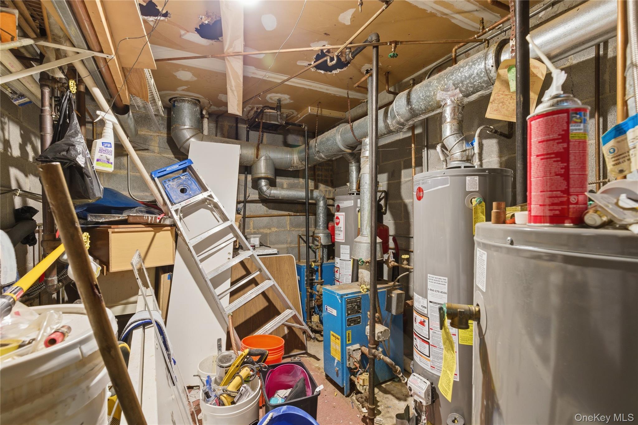 #20 photo, 4600 Bronx Boulevard, ブロンクス区 Bronx , NY 10470