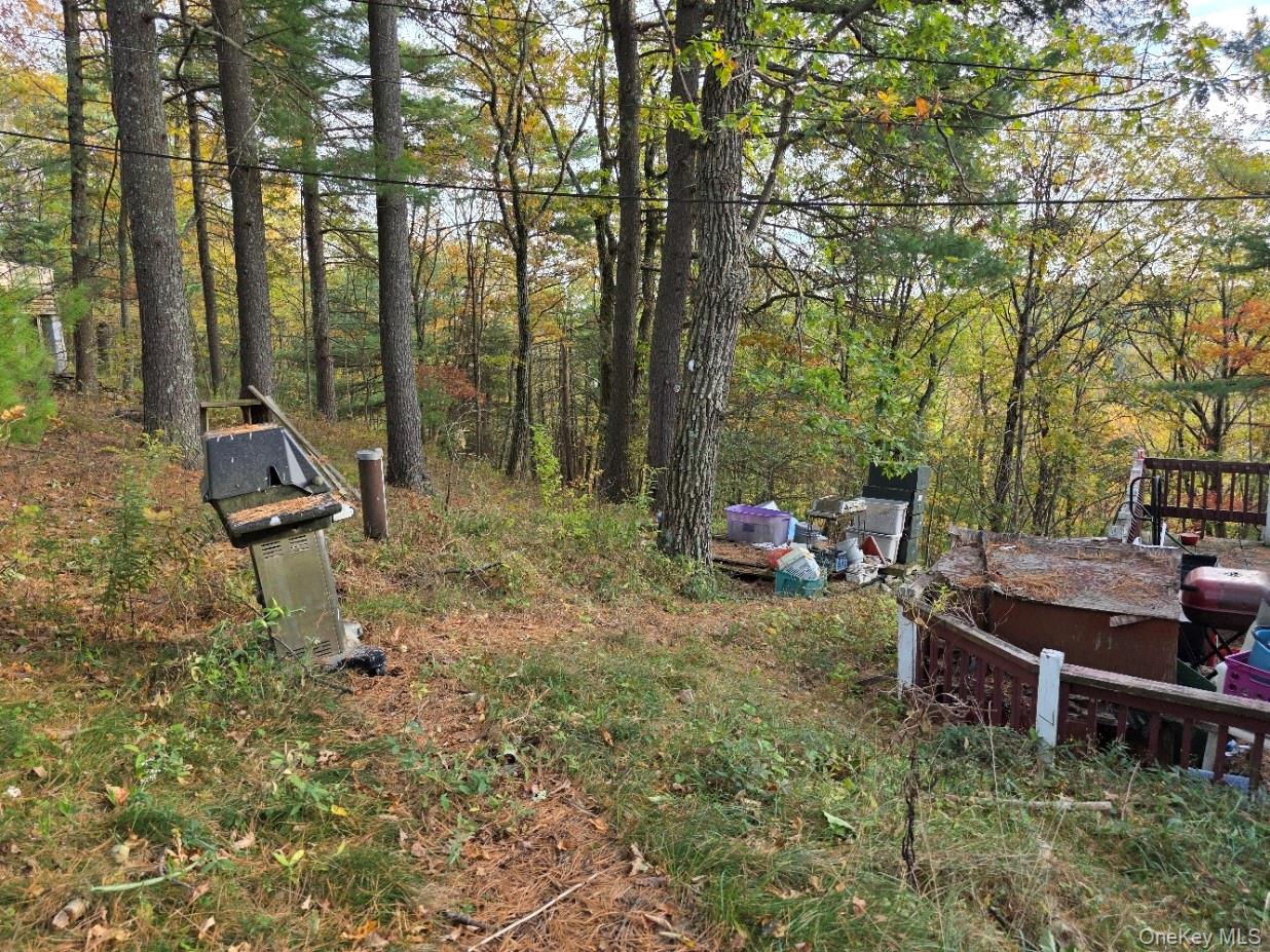 #2 photo, 43 Hilltop Trail, Wurtsboro , NY 12790