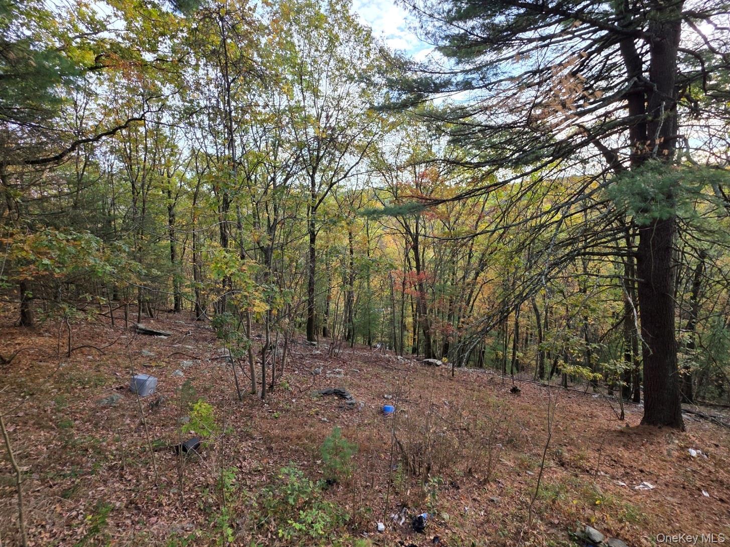 #4 photo, 43 Hilltop Trail, Wurtsboro , NY 12790