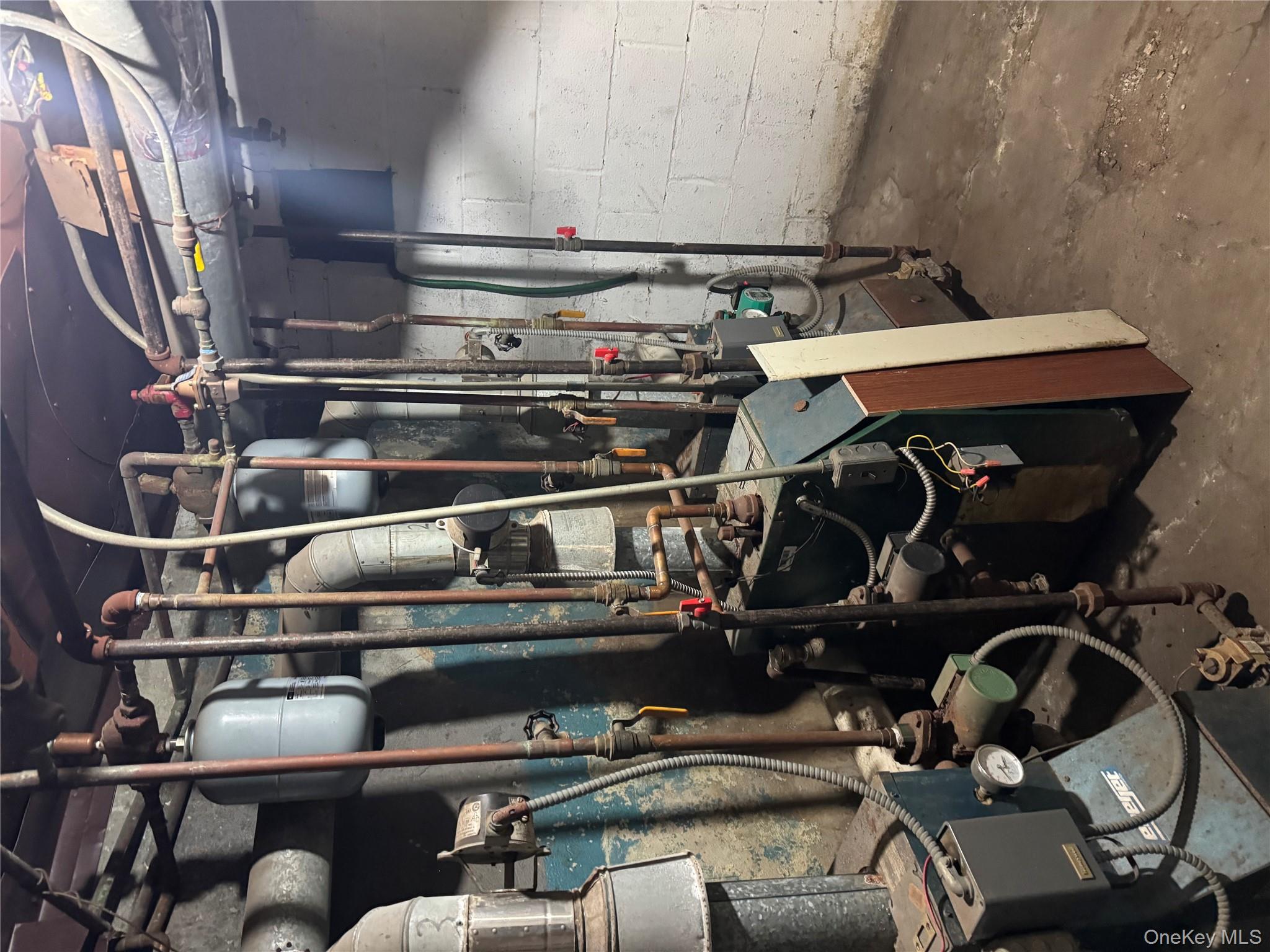 #10 photo, 2358 pacific Street, ブルックリン区 Brooklyn , NY 11233