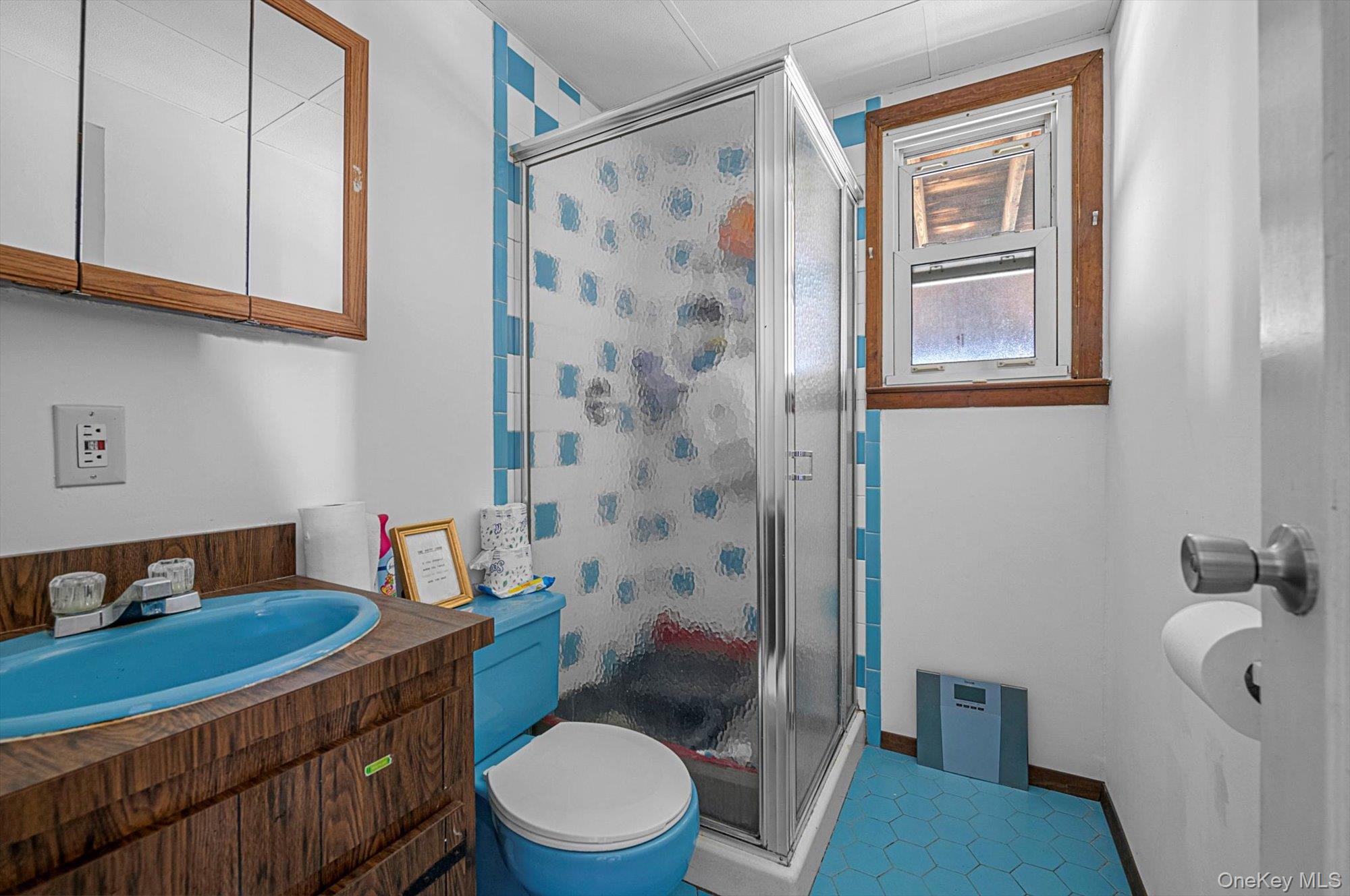 #8 photo, 2182 Bright Avenue, ナッソー郡 East Meadow , NY 11554