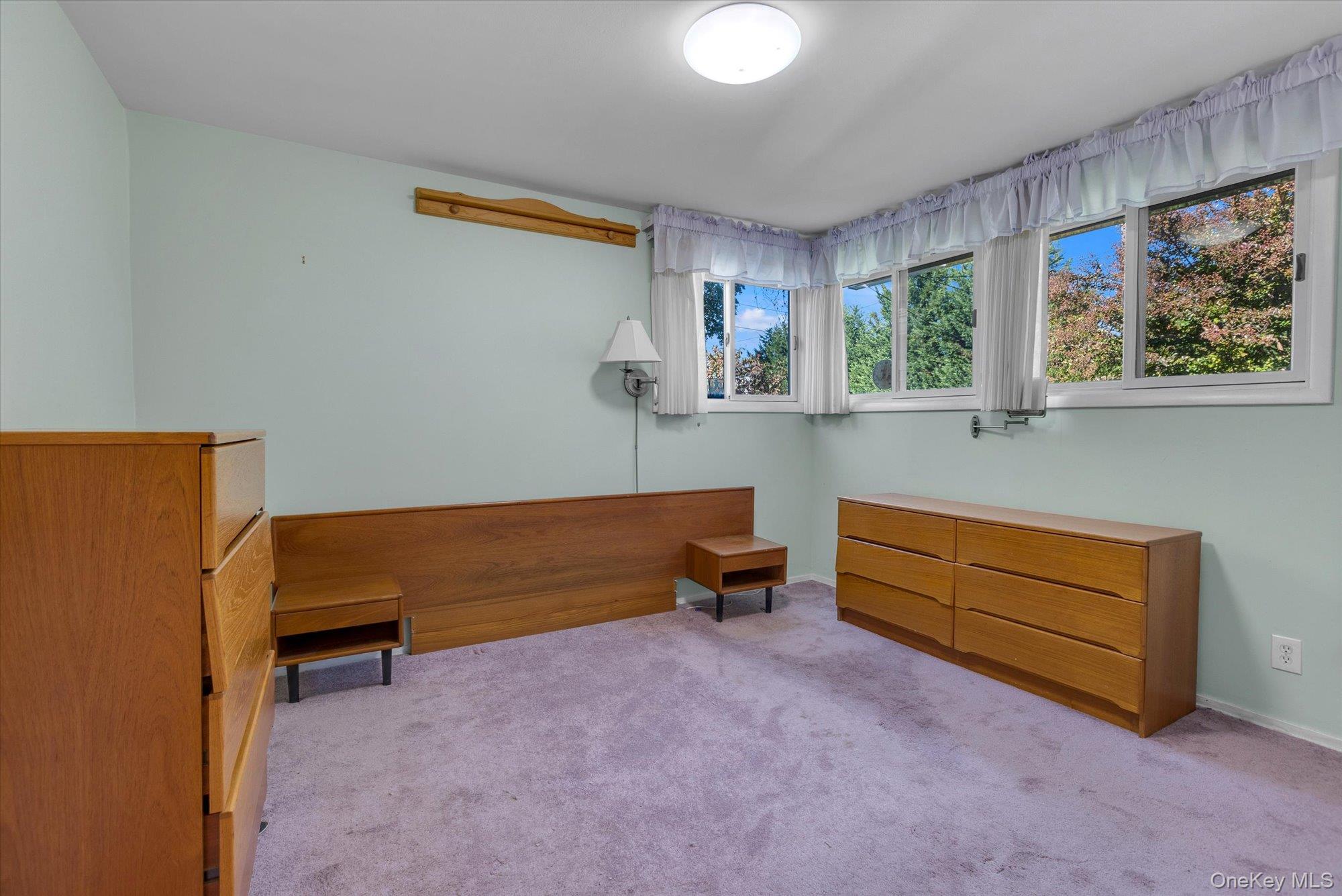 #9 photo, 29 Adelphi Road, ナッソー郡 Hicksville , NY 11801