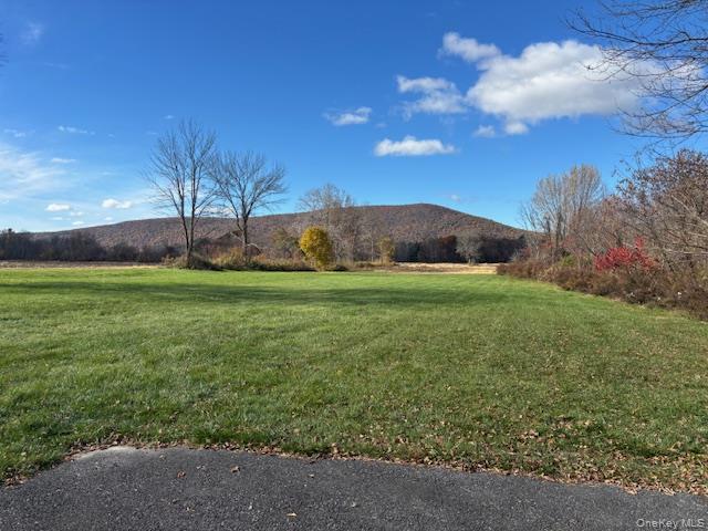 #2 photo, 7685 Route 82, Pine Plains , NY 12567
