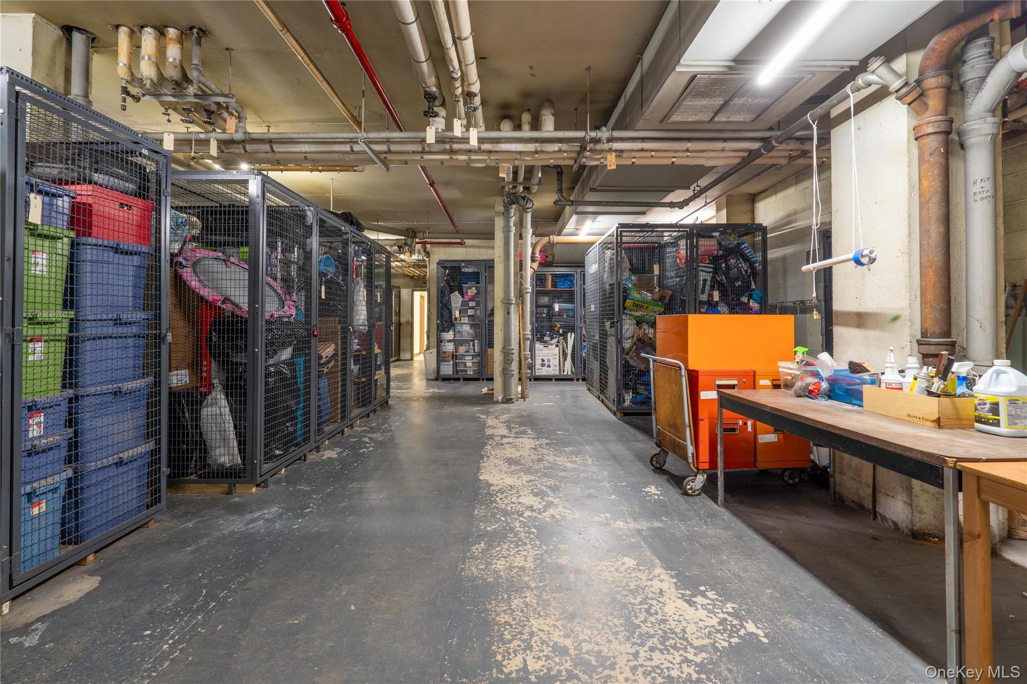 #17 photo, 70-31 108th Street, クイーンズ区 Forest Hills , NY 11375