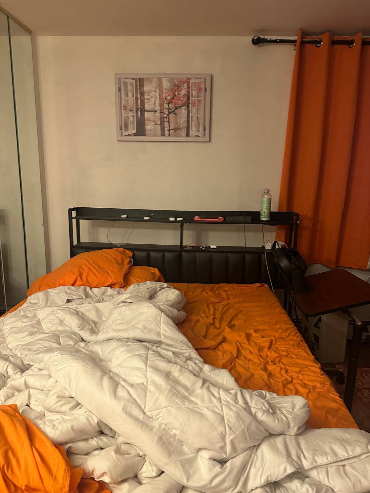 #11 photo, 193 Frederick Ave, South Floral Park , NY 11001