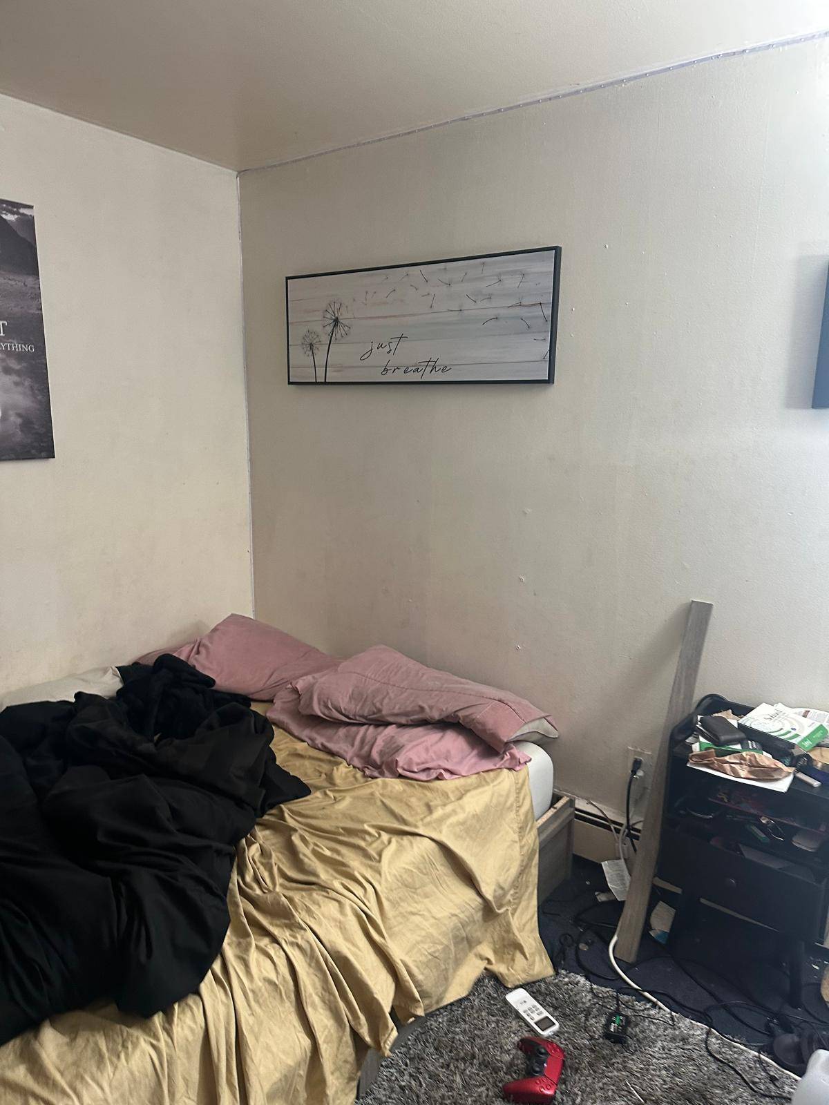 #24 photo, 193 Frederick Ave, South Floral Park , NY 11001