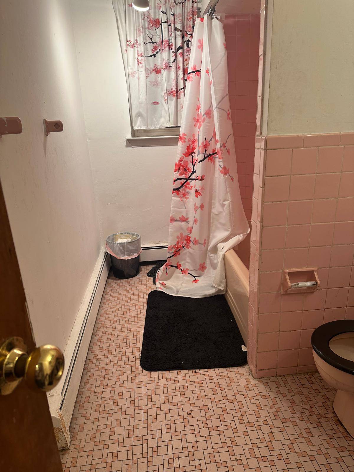 #29 photo, 193 Frederick Ave, South Floral Park , NY 11001