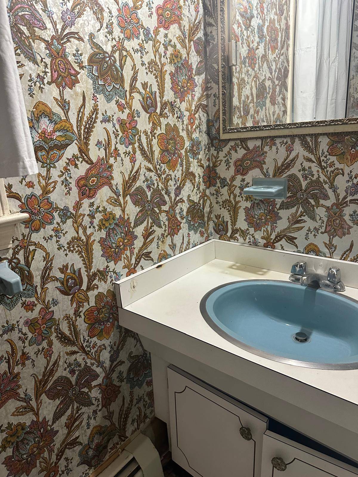 #32 photo, 193 Frederick Ave, South Floral Park , NY 11001