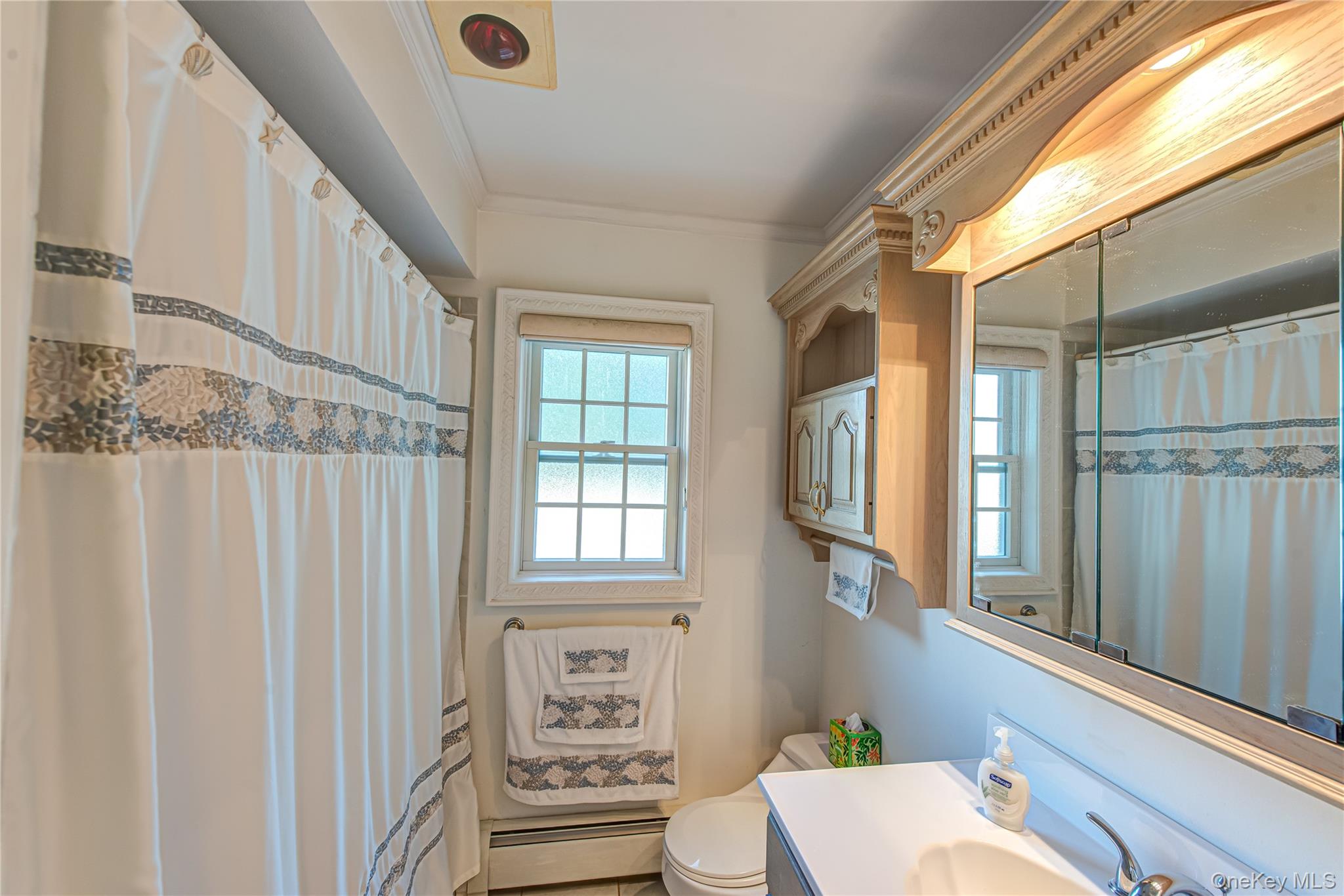 #13 photo, 7 Babe Ruth, Bay Shore , NY 11706