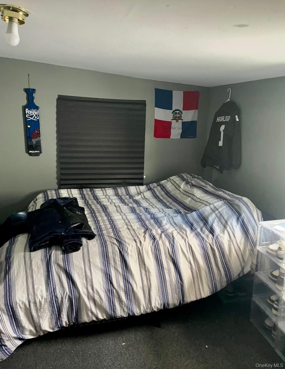 #19 photo, 113 Harder Avenue, Cobleskill , NY 12043