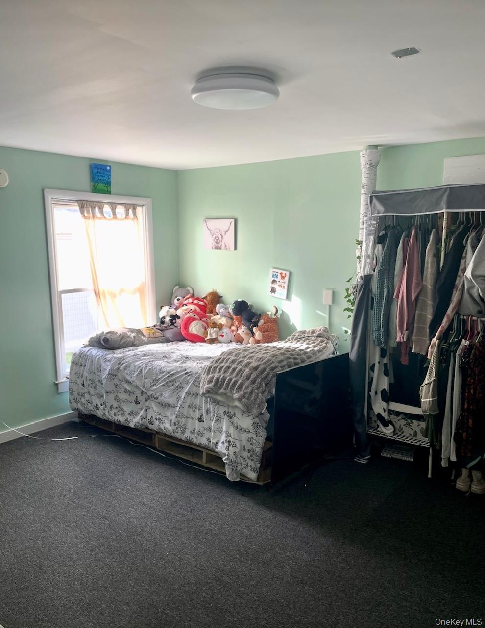 #8 photo, 113 Harder Avenue, Cobleskill , NY 12043