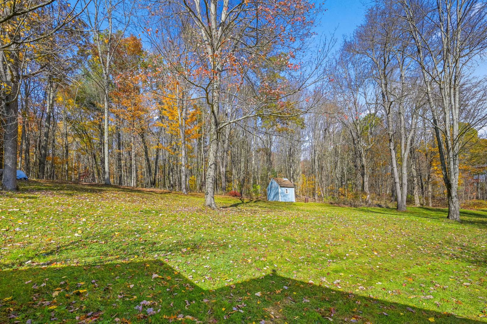 #67 photo, 419 Algerine St, Afton , NY 13730