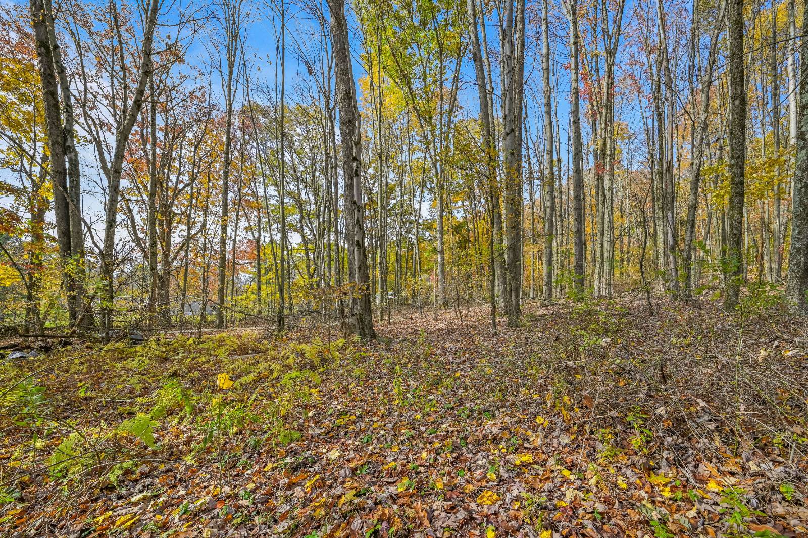 #69 photo, 419 Algerine St, Afton , NY 13730