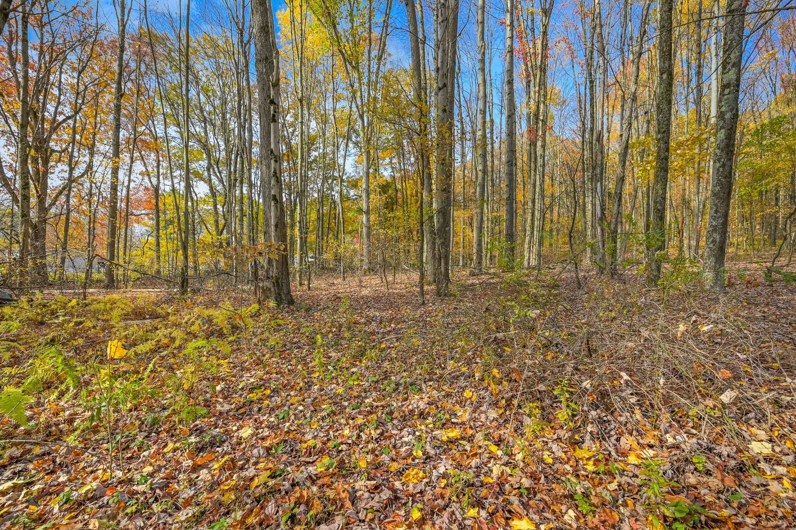 #71 photo, 419 Algerine St, Afton , NY 13730