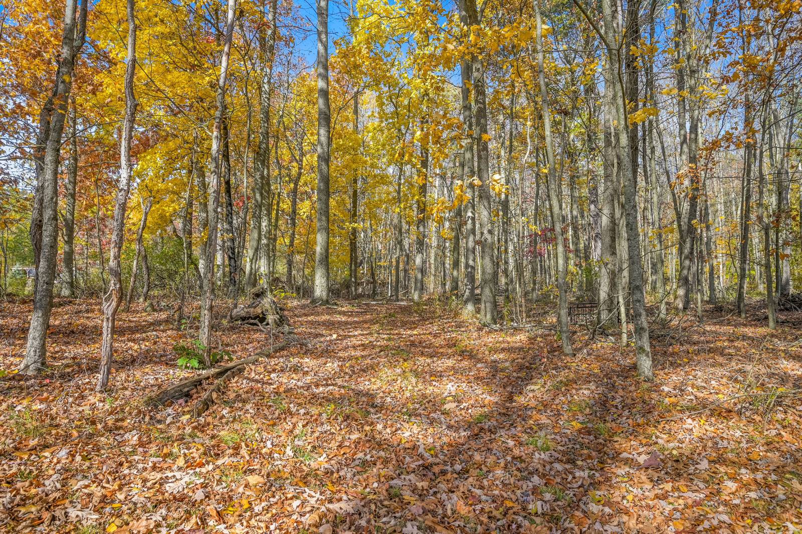 #74 photo, 419 Algerine St, Afton , NY 13730