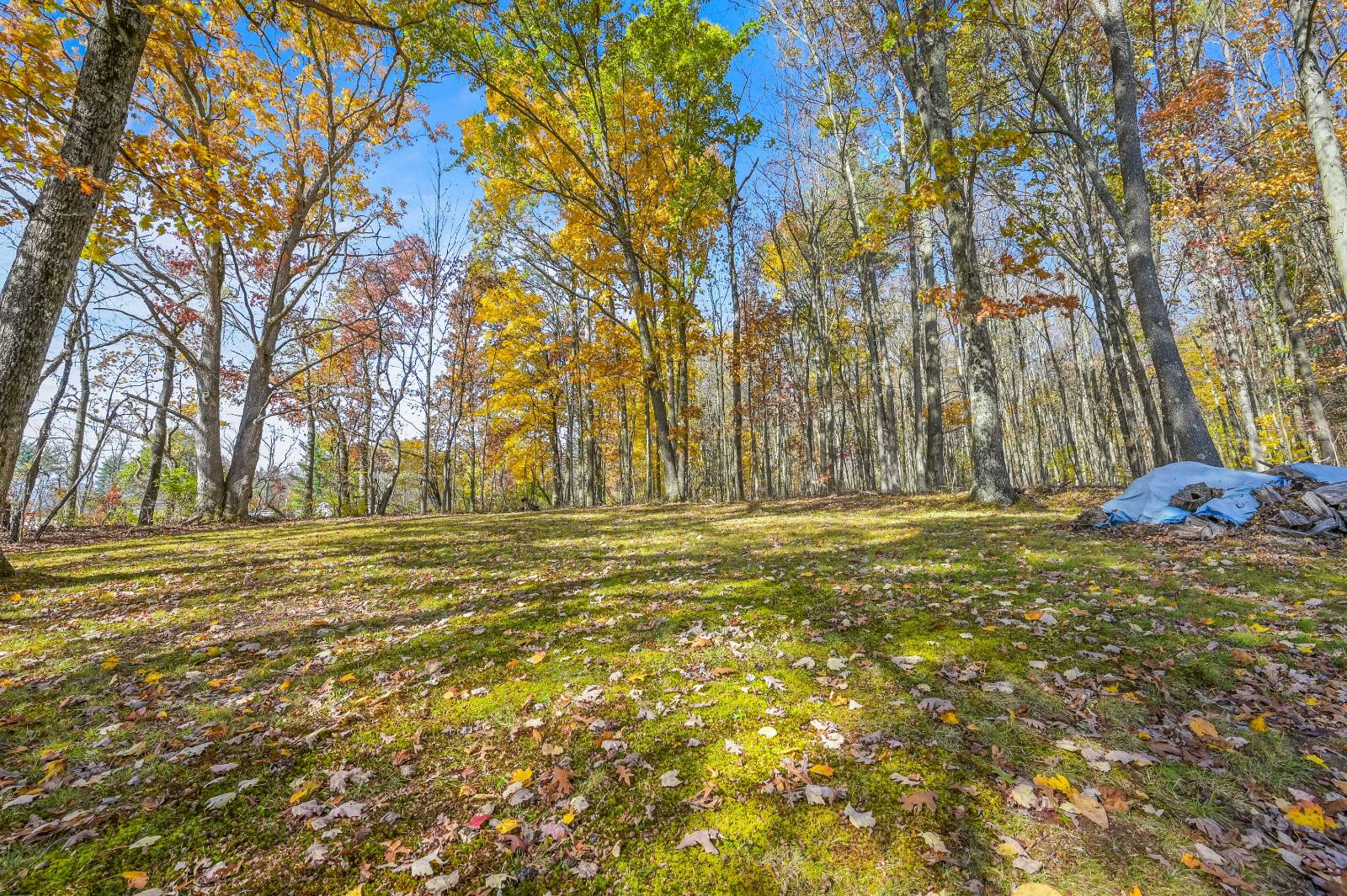 #75 photo, 419 Algerine St, Afton , NY 13730