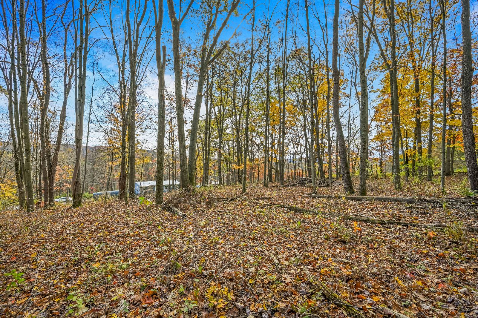 #77 photo, 419 Algerine St, Afton , NY 13730