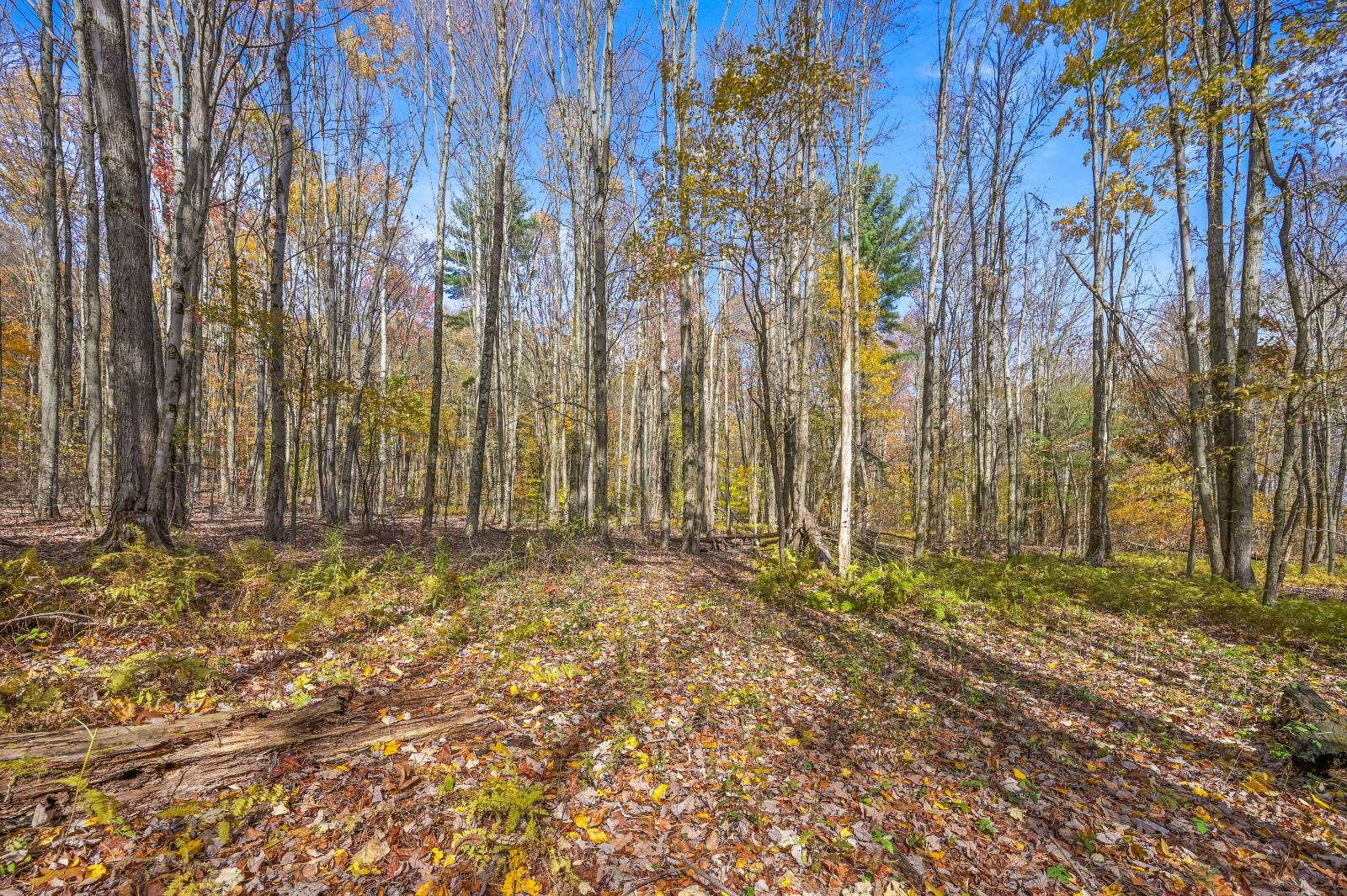 #78 photo, 419 Algerine St, Afton , NY 13730