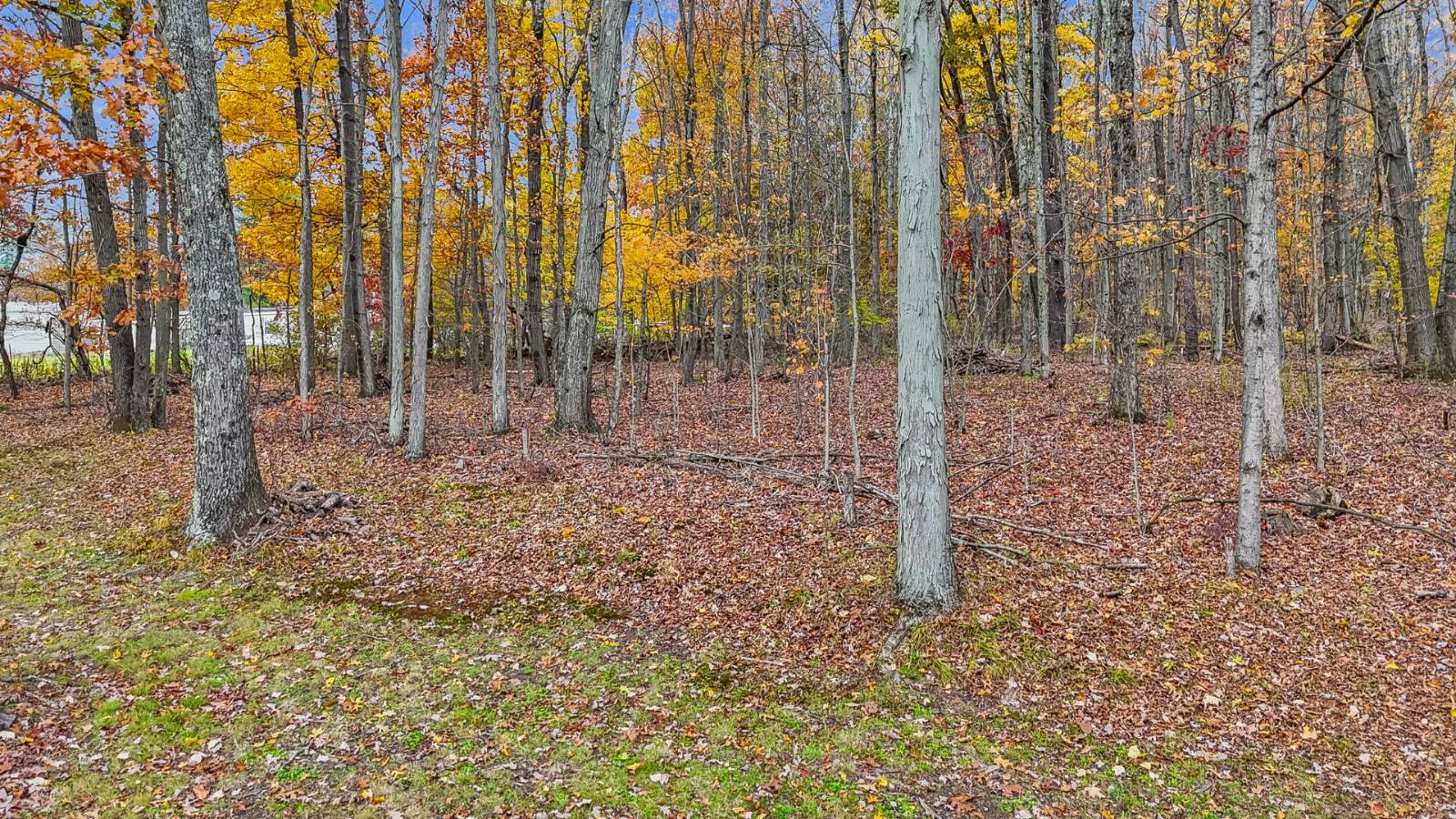 #79 photo, 419 Algerine St, Afton , NY 13730