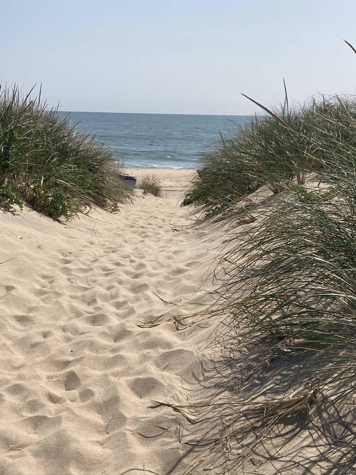 #21 photo, 2136 Montauk Highway, #Suite 202, サフォーク郡 Amagansett , NY 11930