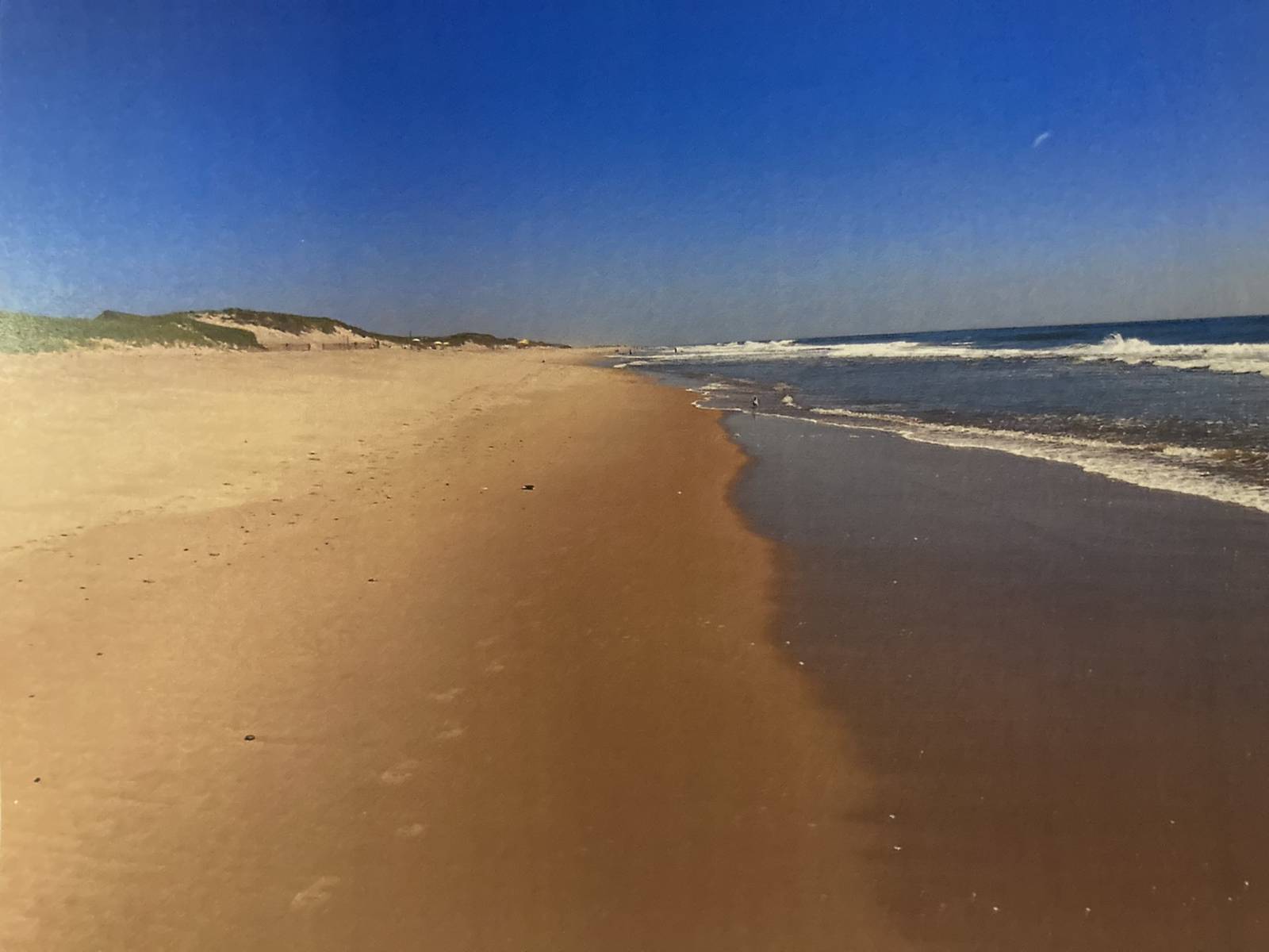 #22 photo, 2136 Montauk Highway, #Suite 202, サフォーク郡 Amagansett , NY 11930