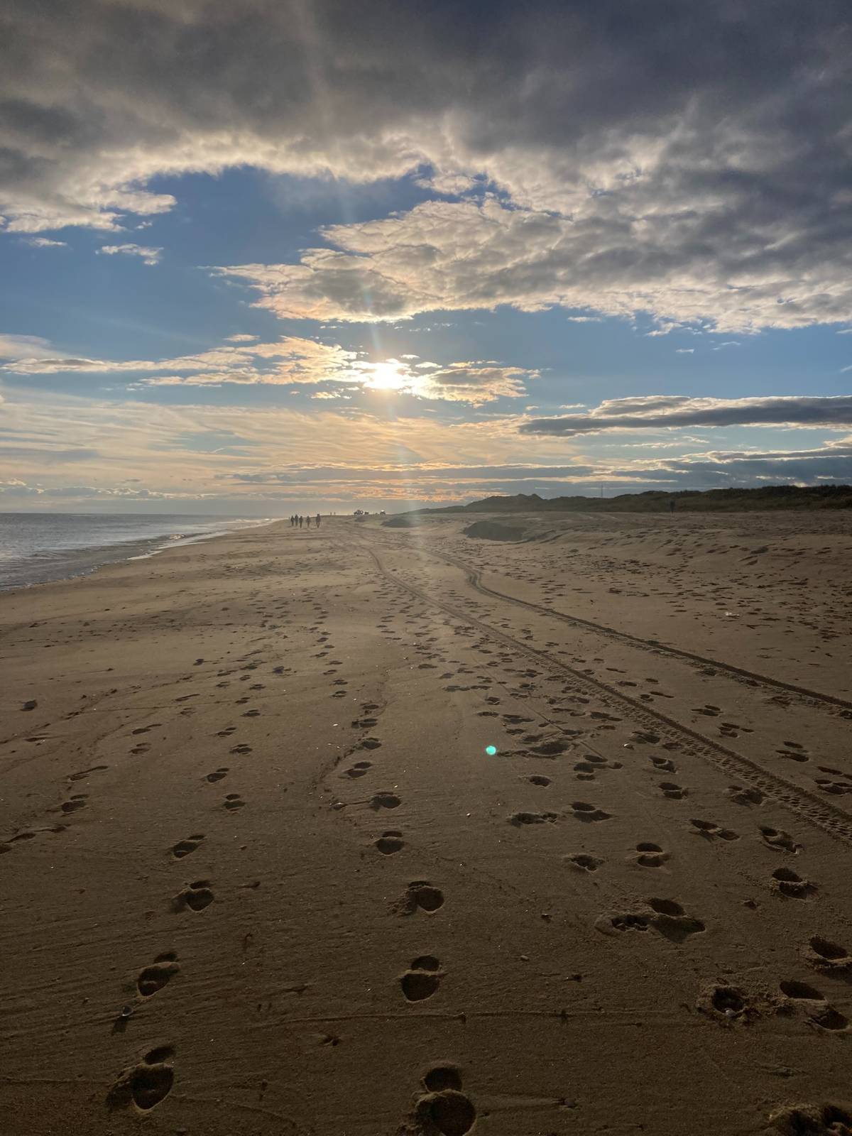 #29 photo, 2136 Montauk Highway, #Suite 202, サフォーク郡 Amagansett , NY 11930