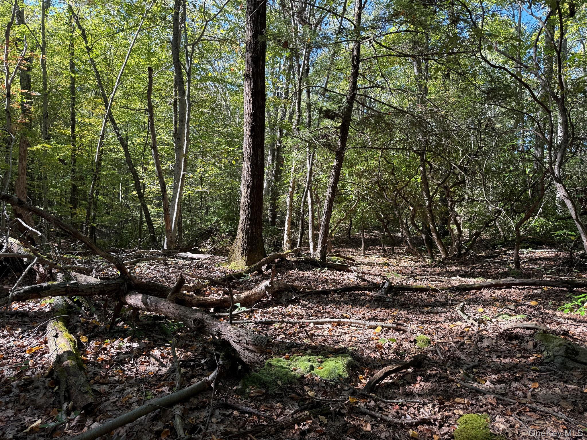 #11 photo, 98 Eastwoods Road, Pound Ridge , NY 10576