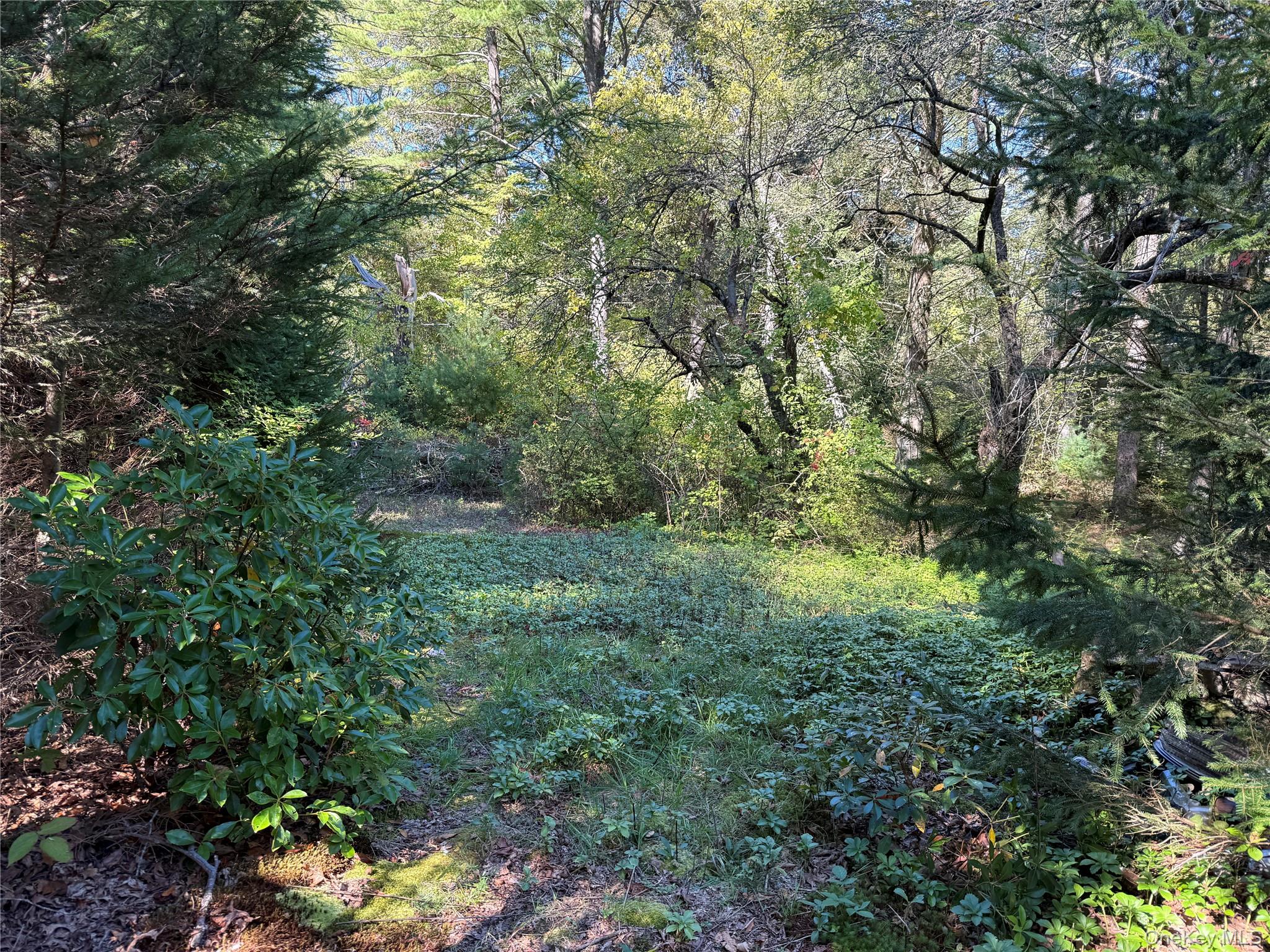 #4 photo, 98 Eastwoods Road, Pound Ridge , NY 10576