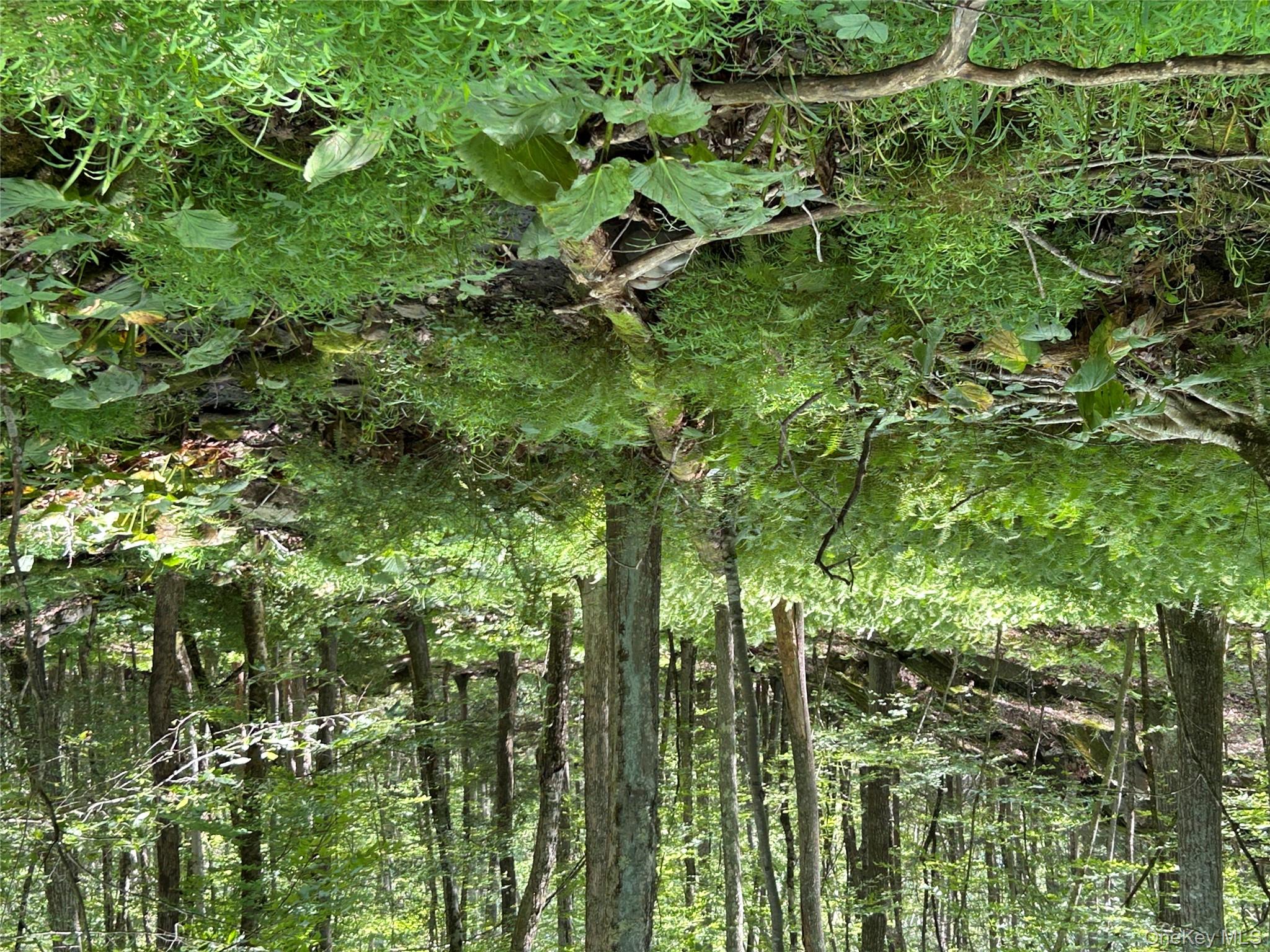 #6 photo, 98 Eastwoods Road, Pound Ridge , NY 10576