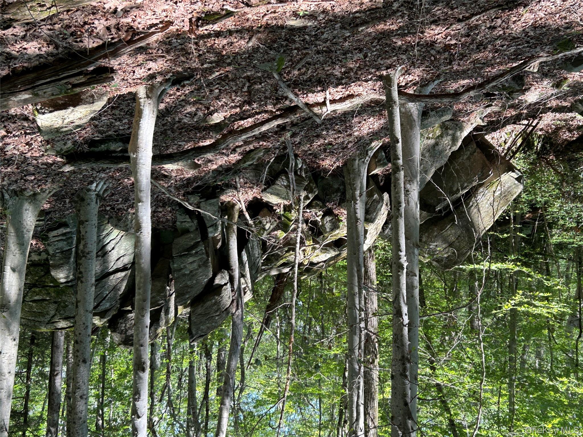 #8 photo, 98 Eastwoods Road, Pound Ridge , NY 10576