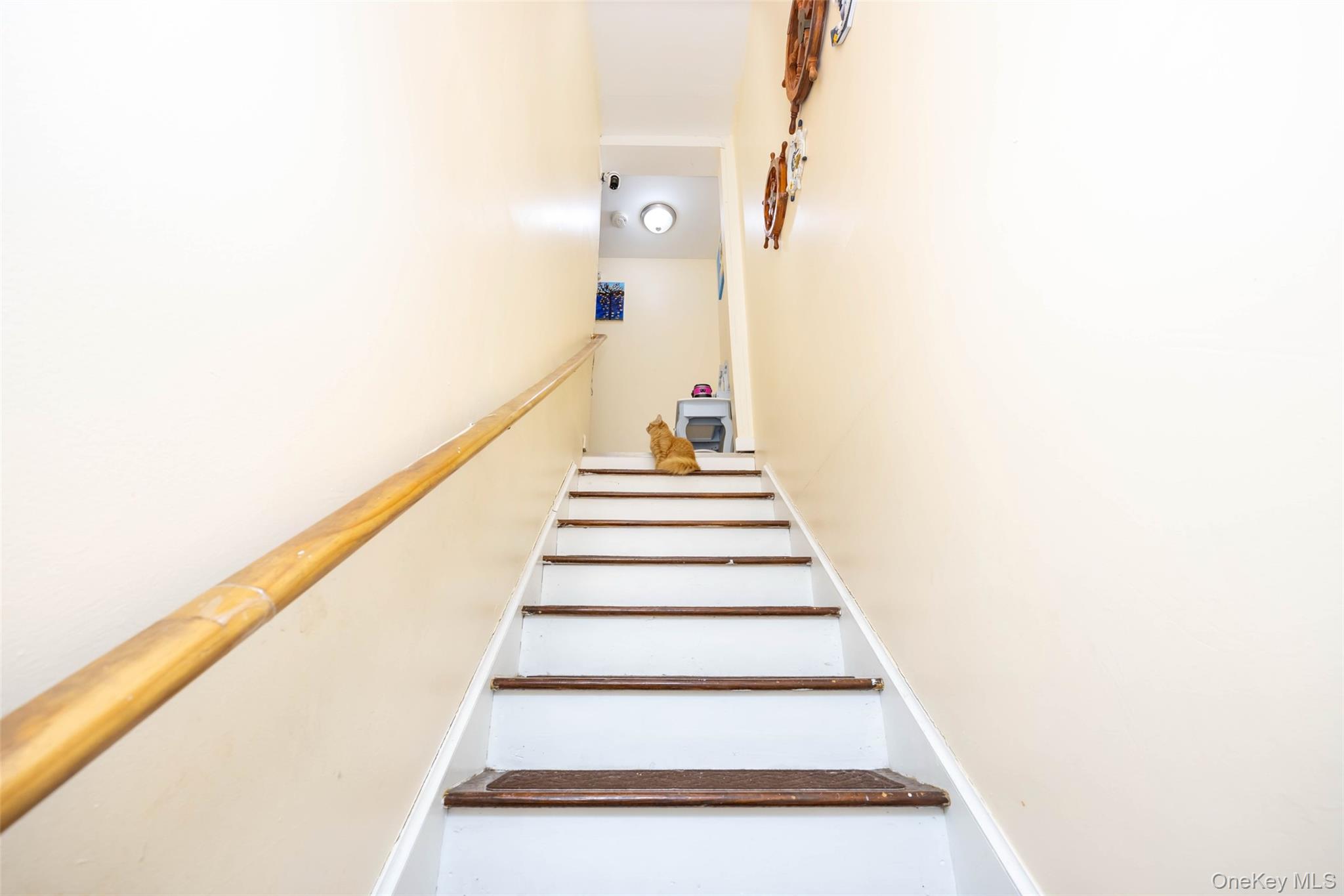 #17 photo, 147 Orchard Street, Yonkers , NY 10703