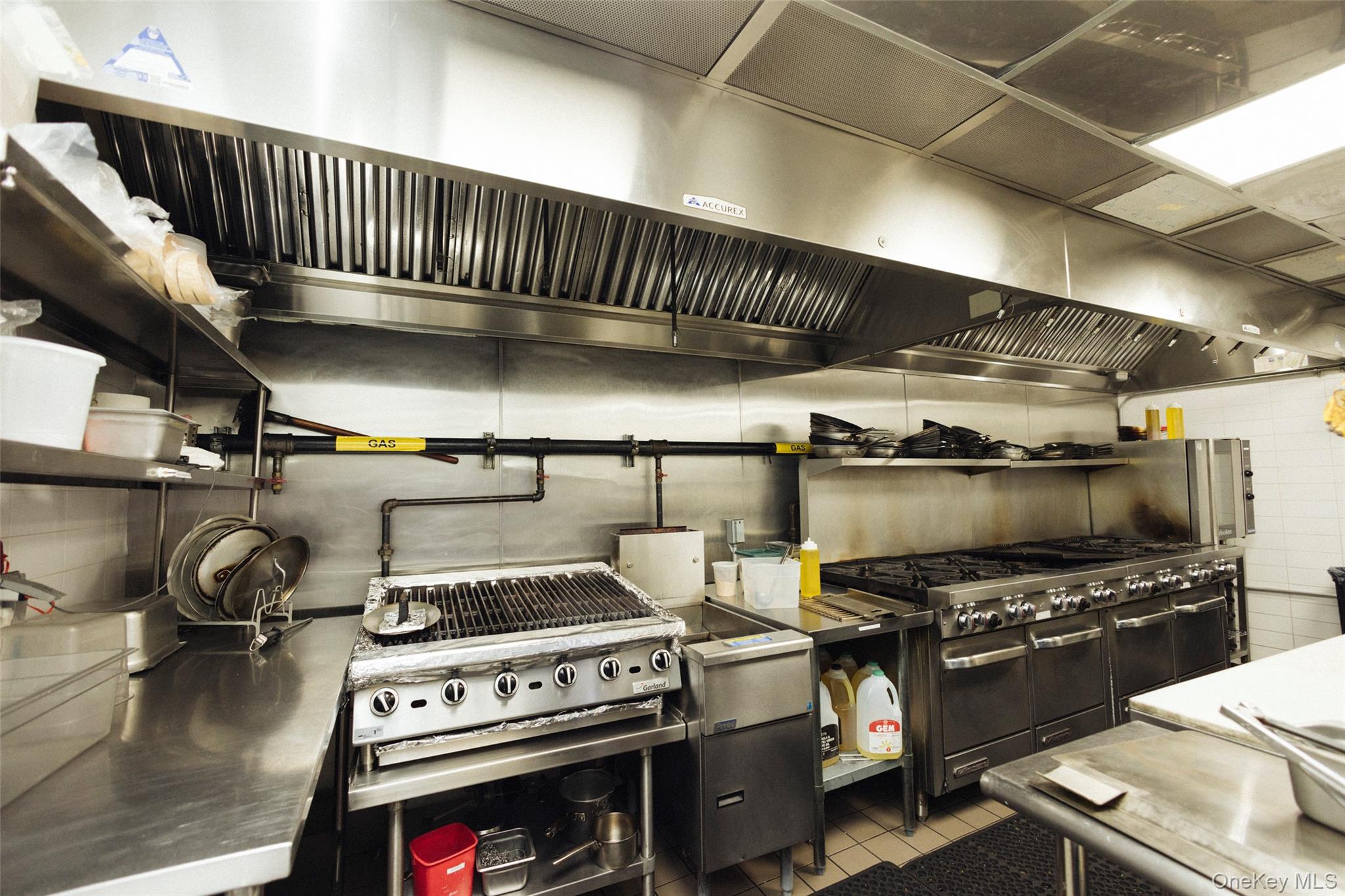 #13 photo, 207 starr Street, ブルックリン区 Brooklyn , NY 11237