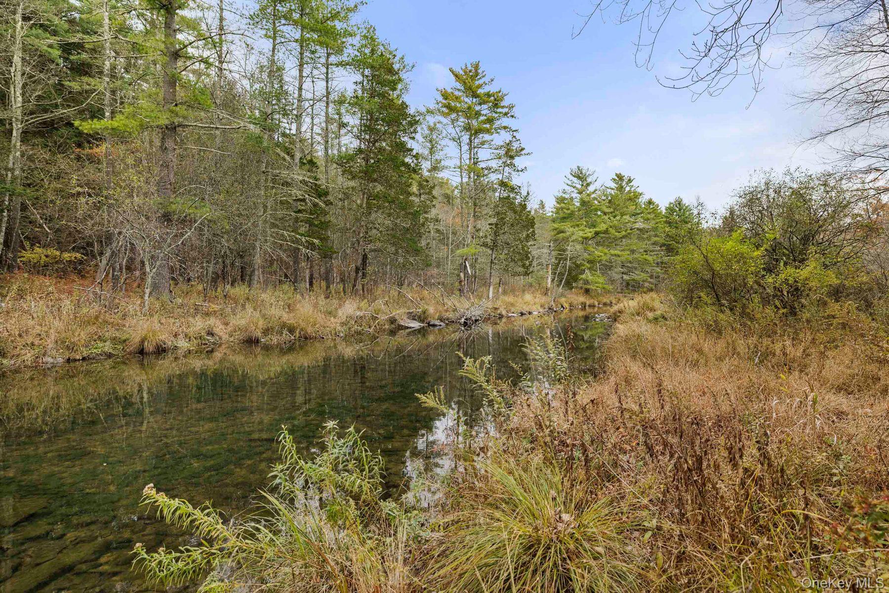 #11 photo, 2021 Mountain Road, Earlton , NY 12051