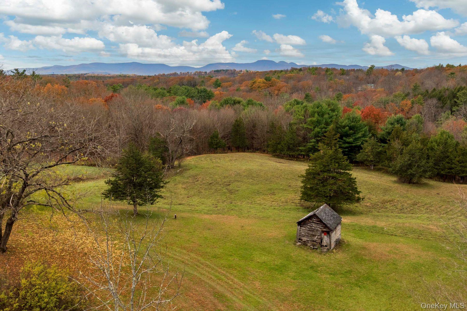 #5 photo, 2021 Mountain Road, Earlton , NY 12051